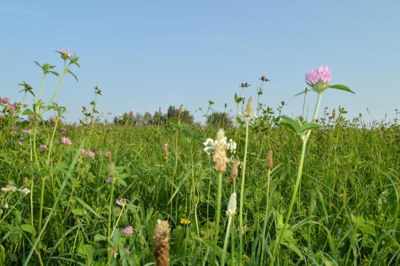 Chata Dziadka Ignacego Augustów Exteriér fotografie