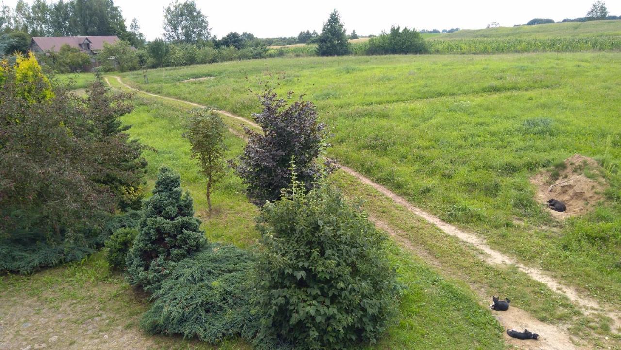 Chata Dziadka Ignacego Augustów Exteriér fotografie