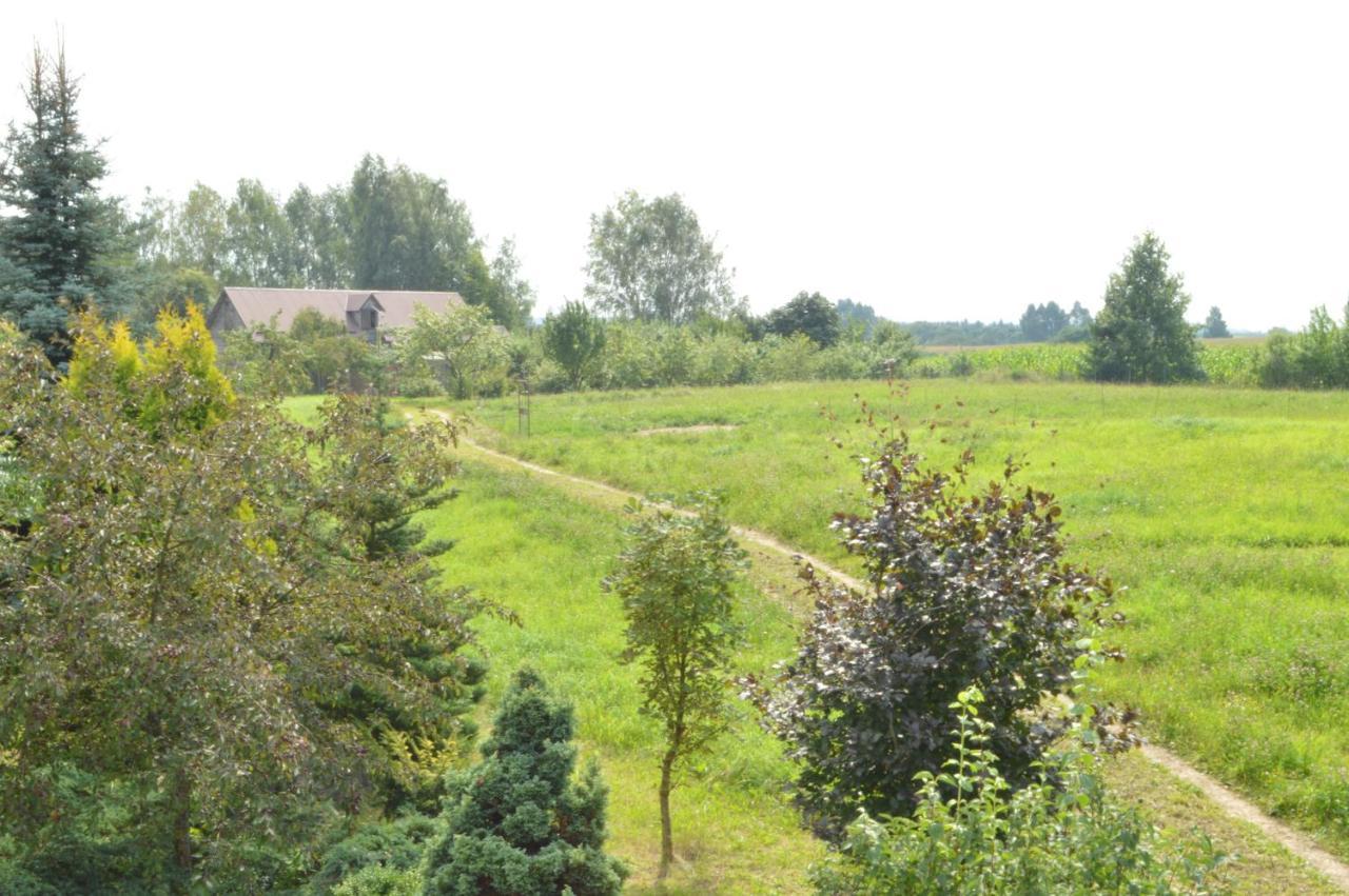 Chata Dziadka Ignacego Augustów Exteriér fotografie