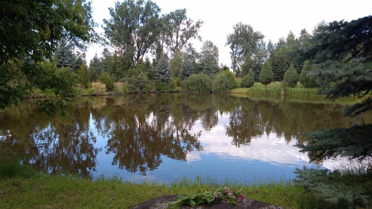 Chata Dziadka Ignacego Augustów Exteriér fotografie