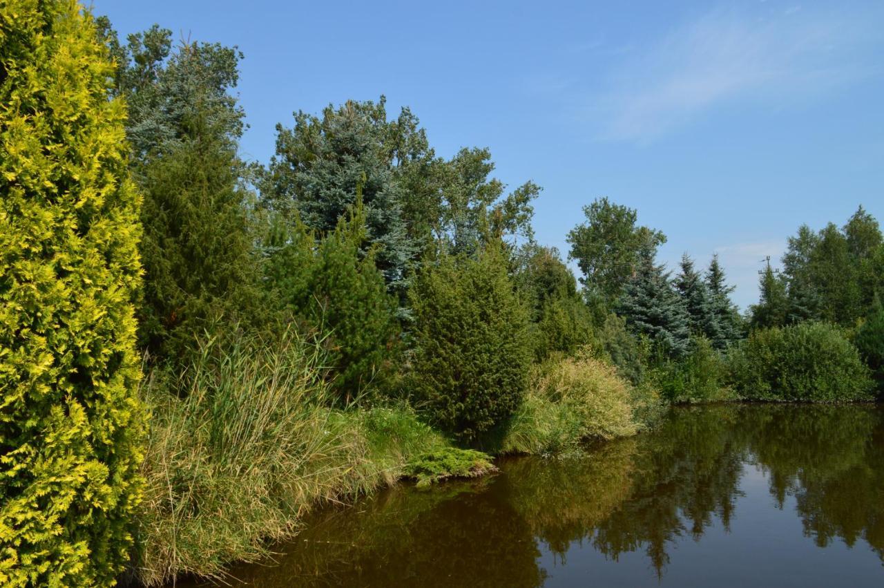 Chata Dziadka Ignacego Augustów Exteriér fotografie